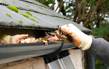 gutter cleaning West Denside, Angus